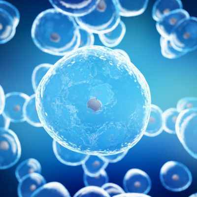 What is cell and gene therapy?